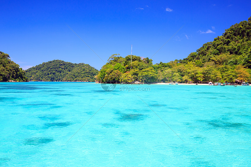 泰国苏林岛国家公园泰国日志叶子植物浮潜木头假期海滩蓝色全景海岸图片