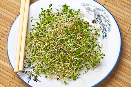 s 芽盘子生长味道宏观植物病菌美食香料草本植物食物图片