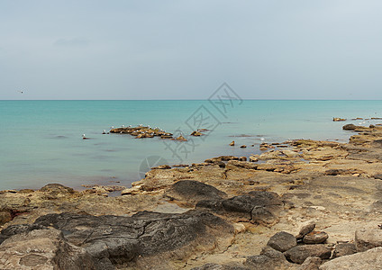 里海的海岸海鸥季节岩石海景海洋海滩全景蓝色图片