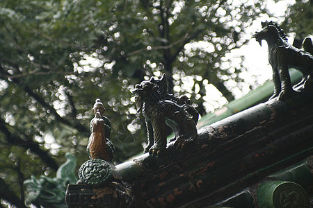 在少林寺的屋顶上的屋顶上 屋顶幽灵 钦少林寺烈酒旅游公鸡寺庙雕像数字宗教少林装饰品图片