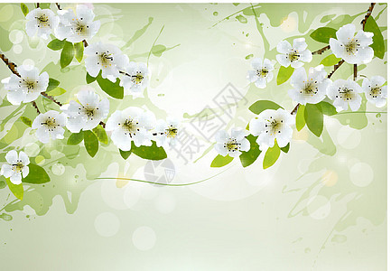 自然背景有白开花的树枝 矢量图片