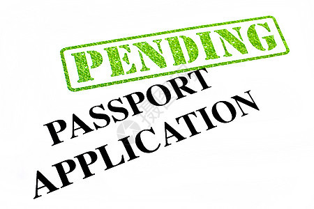 护照申请申请表图片