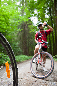 在森林中骑山地自行车森林自行车道上的骑自行车的人运动员男性头盔活动闲暇国家山地车爱好踪迹速度图片