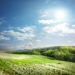 春泉草地花园牧场色彩阳光蓝色风景季节场地爬坡太阳图片