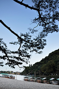 日本京都林山的美丽风景图片