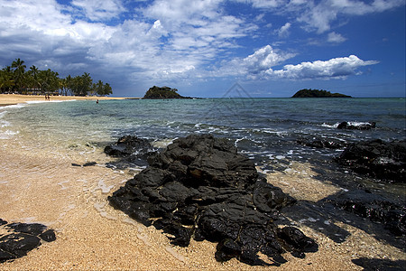 棕榈岩石树枝山海藻房子海岸线小岛海洋天空假期棕榈植物石头图片