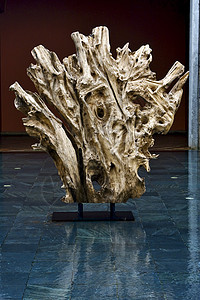 在水中的木块 毛瑞修斯纪念碑艺术萝卜木头制品扭力反射金属切口水池图片
