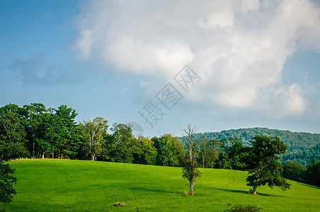 阳光明媚的日落时山谷 大烟雾山 北卡拉全景草原爬坡高地风景山腰晴天天空林地蓝色图片