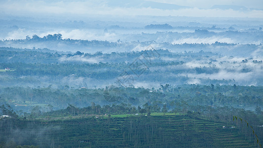 巴厘火山爬坡薄雾环境热带旅行火山木头天空风景场地图片