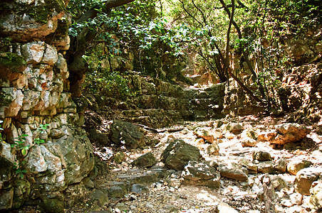 山区峡谷岩石苔藓树木图片