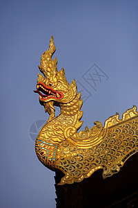 蓝色天空背景的泰国金龙-装饰元件结构图案图片