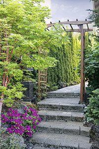 粉色阿扎利亚斯院子小路植物景观季节岩石脚步乔木花园树木图片