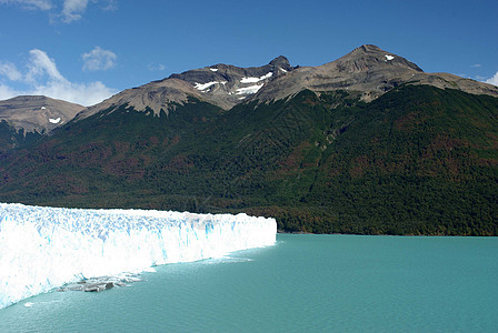 阿根廷佩里托莫雷诺冰川旅行顶峰地质学旅游冰山荒野风景爬坡森林木头图片