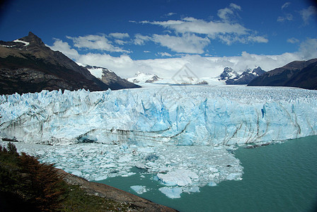 阿根廷佩里托莫雷诺冰川顶峰木头旅游风景荒野旅行冰山爬坡森林地质学图片