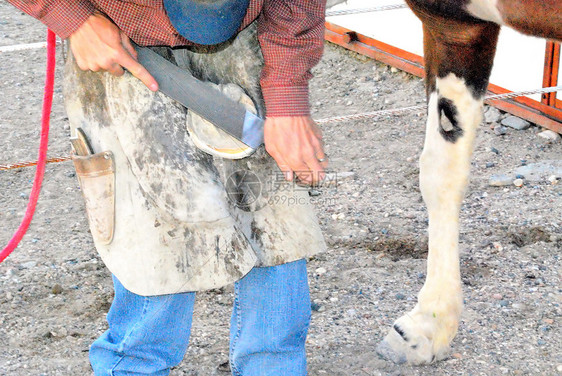 法利尔工作工具哺乳动物动物工艺劳动金属牧场技能贸易工人图片