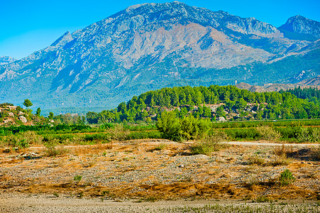 绿山丘 在背景中 土耳其牧场蓝色山峰场景旅行戏剧性森林国家环境风景图片