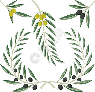 橄榄树枝食物荣耀成功运动胜利元素设计插图叶子图片