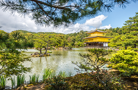 日本京都金宫寺庙金殿胭脂观光佛教徒金子地标建筑学寺庙文化宗教明信片图片