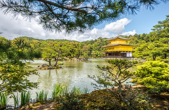 日本京都金宫寺庙金殿胭脂观光佛教徒金子地标建筑学寺庙文化宗教明信片图片