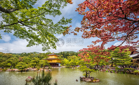 日本京都金宫寺庙金殿反射游客寺庙明信片旅游历史性金子佛教徒公园观光图片