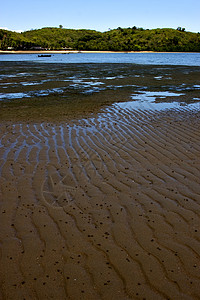 指钉树船衬套低潮闲事海滩波浪叶子旅行假期海藻岩石图片