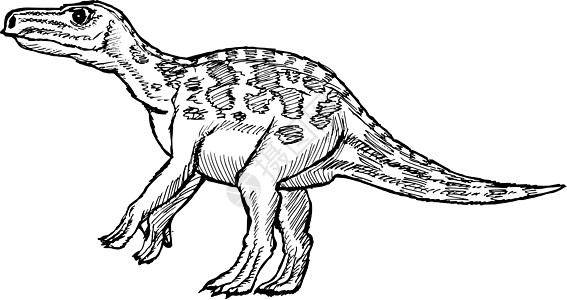 蜥蜴岛爬行动物怪物插图卡通片侏罗纪手绘恐龙草图古生物学动物图片
