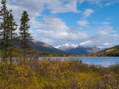 加拿大育空莱皮湖瀑布山地景观山脉蓝色针叶林雪帽天空旅游柳树树叶旅行自由图片