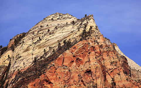 犹他州国家公园锡安峡谷(Zion Canyon)图片