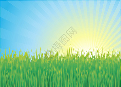 太阳背景矢量场景地平线蓝色阳光插图草本植物牧场场地杂草植物图片