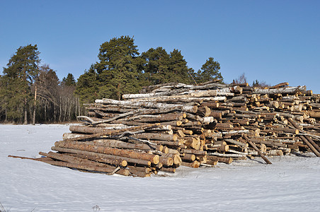 冬季森林边缘的木柴堆图片