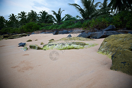 逐海滩的岩石石头吸引力海岸线风化波浪三叶草绿色海岸悬崖海洋图片