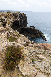 美丽的萨格雷斯海岸线波浪海岸晴天白色旅游假期蓝色植被风景悬崖图片