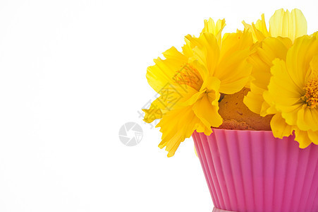 以可食用内容为食用成分的一束小花花花束订婚花园柔软度展示裙子植物礼物庆典花瓣背景图片