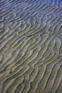 上岸纹理和弯曲线小山低潮弯曲海岸线黑色白色海滩棕色海浪支撑图片