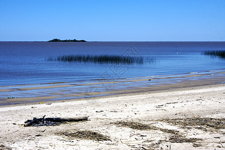 和木偶 乌鲁古拉小岛木头浅蓝色海浪植物蓝色衬套白色柴堆海岸线图片