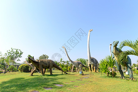 雕像和恐龙公共公园历史公共公园骨架天空化石公园动物园蓝色景点艺术图片