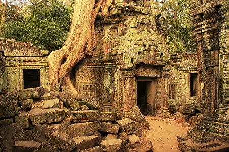塔普罗寺庙建筑植物纪念碑高棉语遗产收获建筑学木头文明热带图片