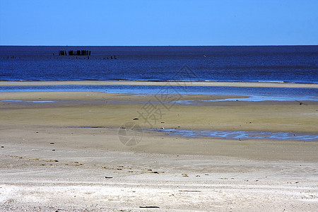 萨卡拉门托山中沙滩木和海滩木浅蓝色木头衬套棕色海草淡蓝色白色海岸线蓝色黑色图片