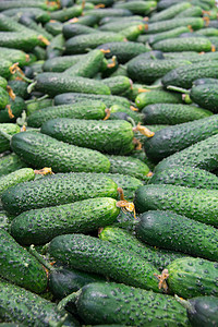 市场上新鲜的黄瓜杂货食物团体收成倾斜农民折叠蔬菜农场商业图片