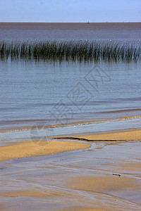 普拉塔乌鲁古瓦天空淡蓝色黑色棕色蓝色海浪衬套海滩白色低潮图片