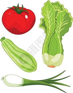 一套蔬菜 5图片
