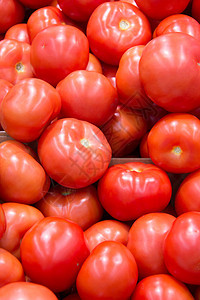 市场上的红番茄圆圈商业农场收成食物农民圆形红色杂货店铺图片