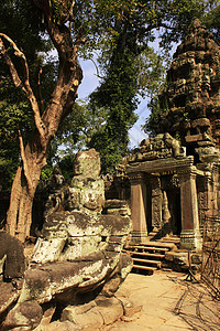 Preah Khan寺庙入口处图片