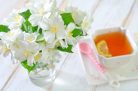 茉翠花瓶绿色植物双花植物茉莉花束茉莉花环境叶子杯子高清图片