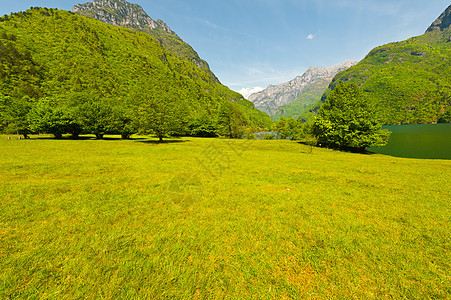 湖泊地区海岸沉思生态风景石头水库峡谷森林天空国家图片