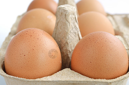 箱中鸡蛋早餐生长健康食物生活营养饮食纸盒棕色农场图片