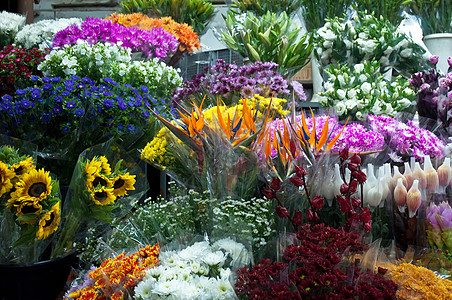 鲜花市场商业百合雏菊礼物销售叶子玫瑰植物花束红色图片