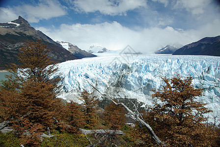 阿根廷佩里托莫雷诺冰川木头旅行荒野旅游森林爬坡地质学顶峰风景冰山图片