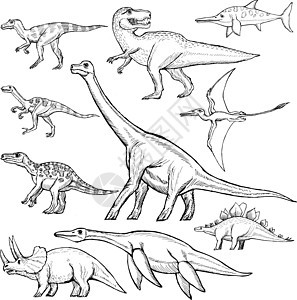 不同的恐龙集手绘草图古生物学爬行动物插图卡通片剑龙迅猛龙侏罗纪捕食者图片
