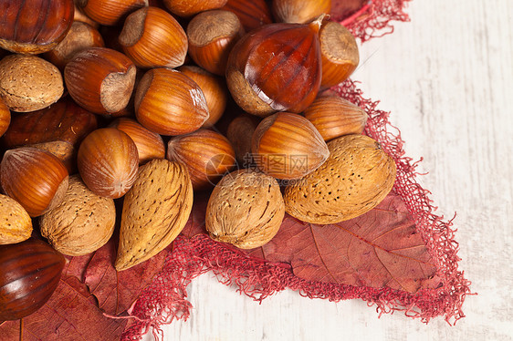 Nuts 背景水果坚果棕色榛子季节性饮食食物栗子图片